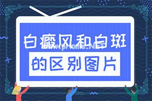 촽L˺öɫСccԓôί
