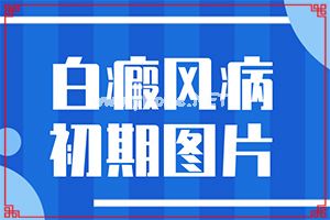 [ɲ֪]ôӴ_\-ðc(din)dL(fng)ǰ