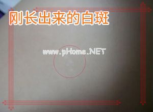 ׯôί[α^õί]c(din)dL(fng)ί